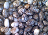 Chia Seed